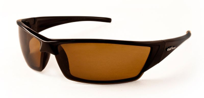 Очки Водителя Cafa France S11939 купить в Тюмени