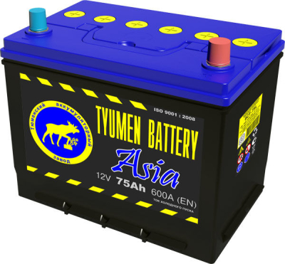 АКБ Tyumen Battery STANDARD 6СТ-75L о/п 630А изображение АКБ Tyumen Battery STANDARD 6СТ-75L о/п 630А купить в Тюмени