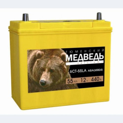 Аккумулятор 6-СТ 50 АПЗ Тюменский медведь Азия о.п. купить в Тюмени